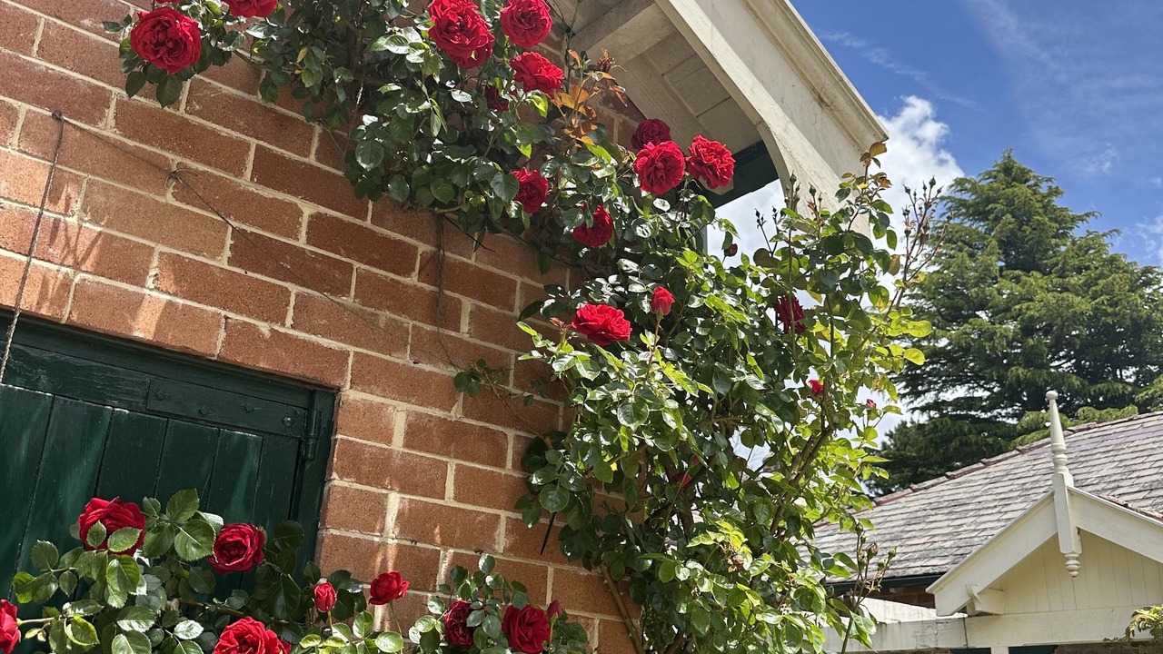 Photo of Outdoor in Blackheath