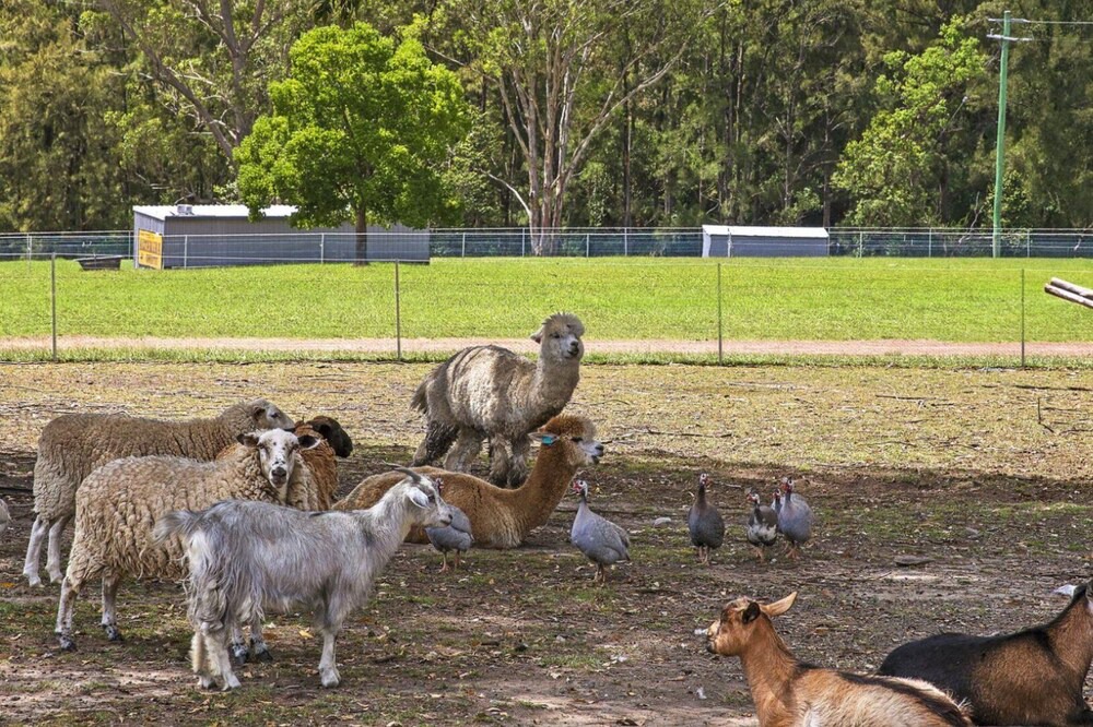 Photo of Outdoor in Bundook