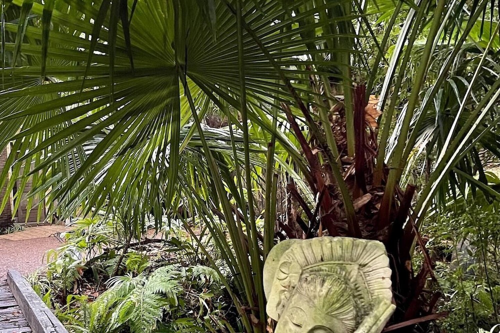 Photo of Outdoor in Pearl Beach