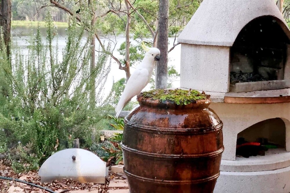Photo of Outdoor in Capalaba