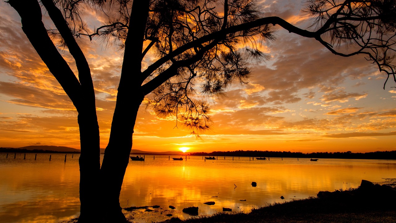 Photo of Outdoor in Forster