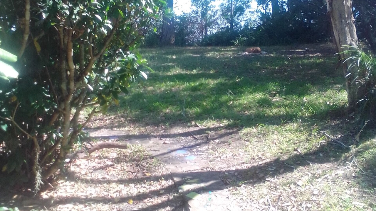 Photo of Outdoor in Blue Knob