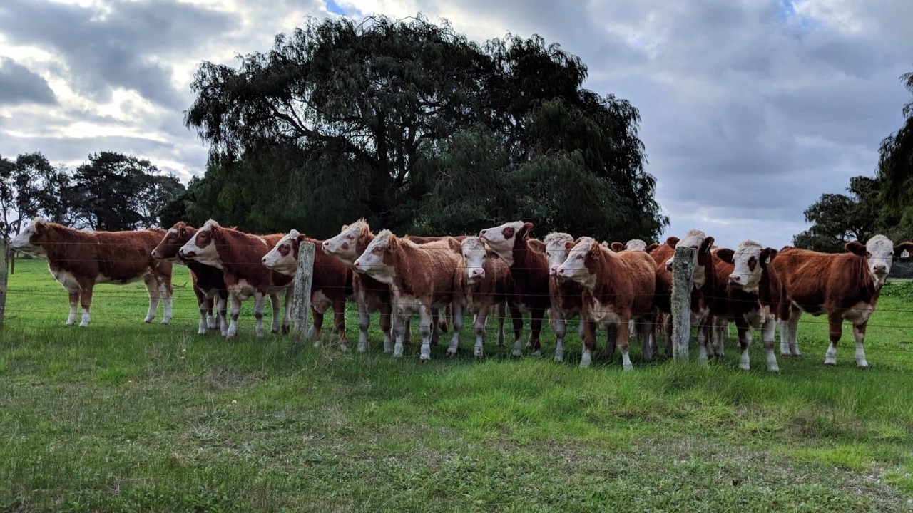 Photo of Outdoor in Margaret River