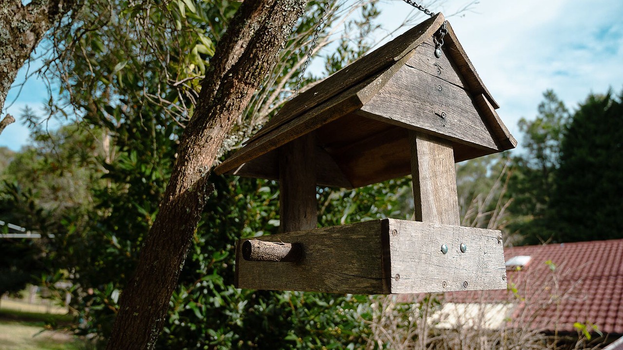 Photo of Outdoor in Broughton