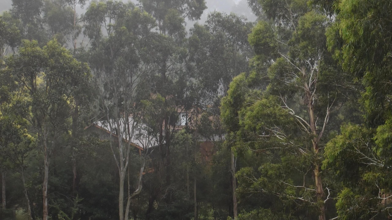 Photo of Outdoor in Mittagong