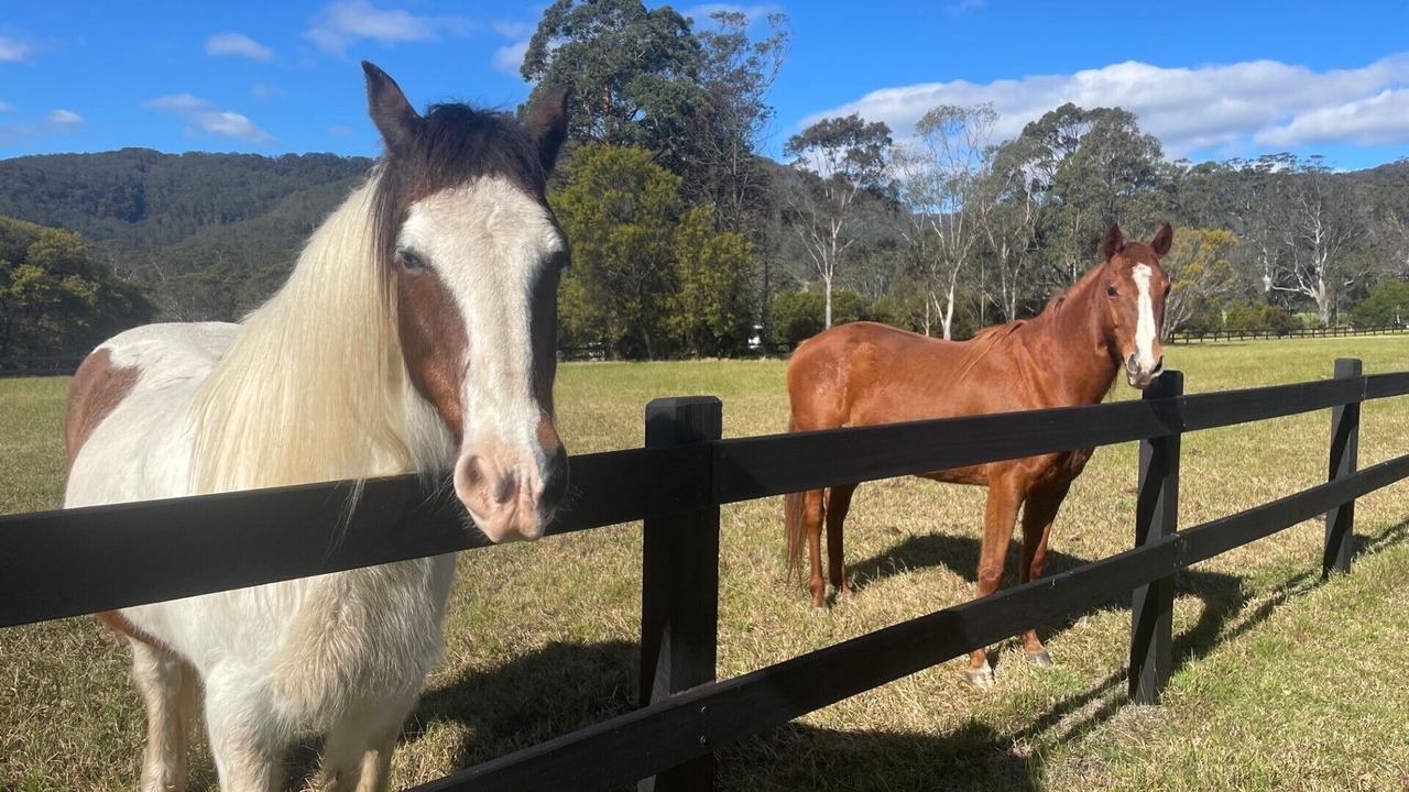 Photo of Outdoor in Kangaroo Valley