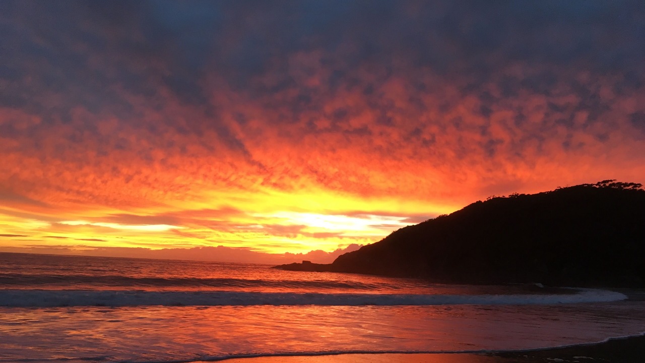Photo of Others in Elizabeth Beach
