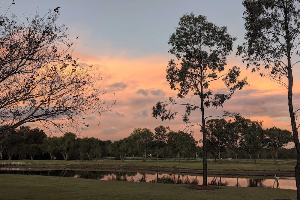 Photo of Outdoor in Lovedale