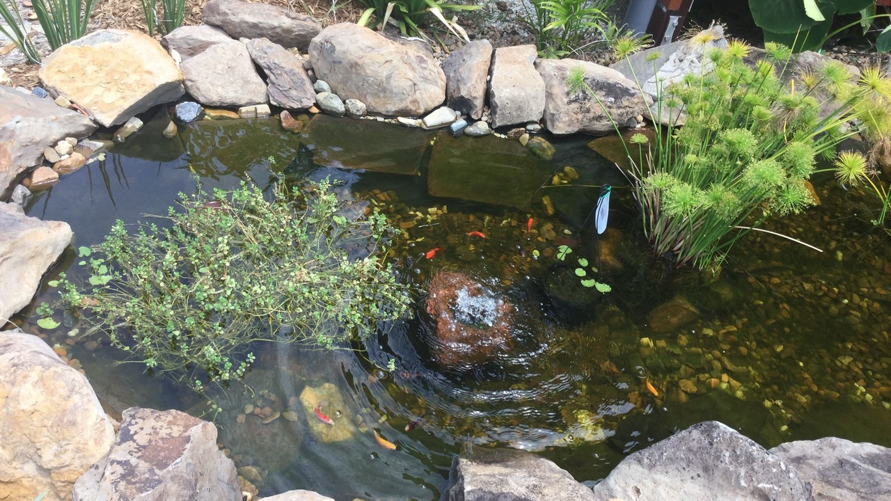 Photo of Outdoor in Urliup