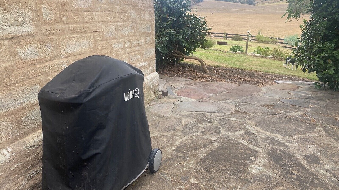 Photo of Outdoor in Charleston
