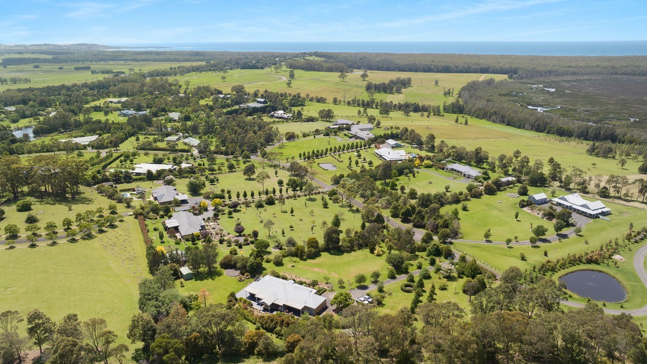 Photo of Outdoor in Berry