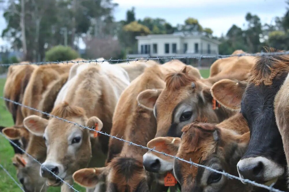 Photo of Others in Latrobe