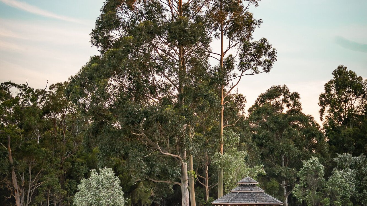 Photo of Outdoor in Yelverton