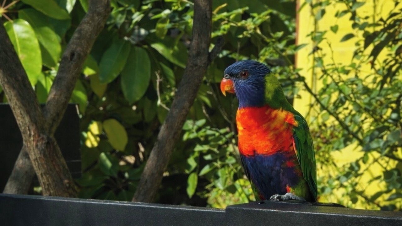 Photo of Outdoor in Batemans Bay