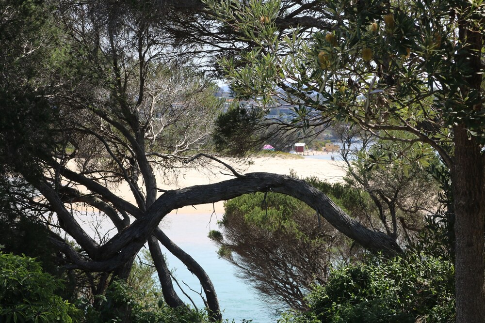 Photo of Outdoor in Merimbula