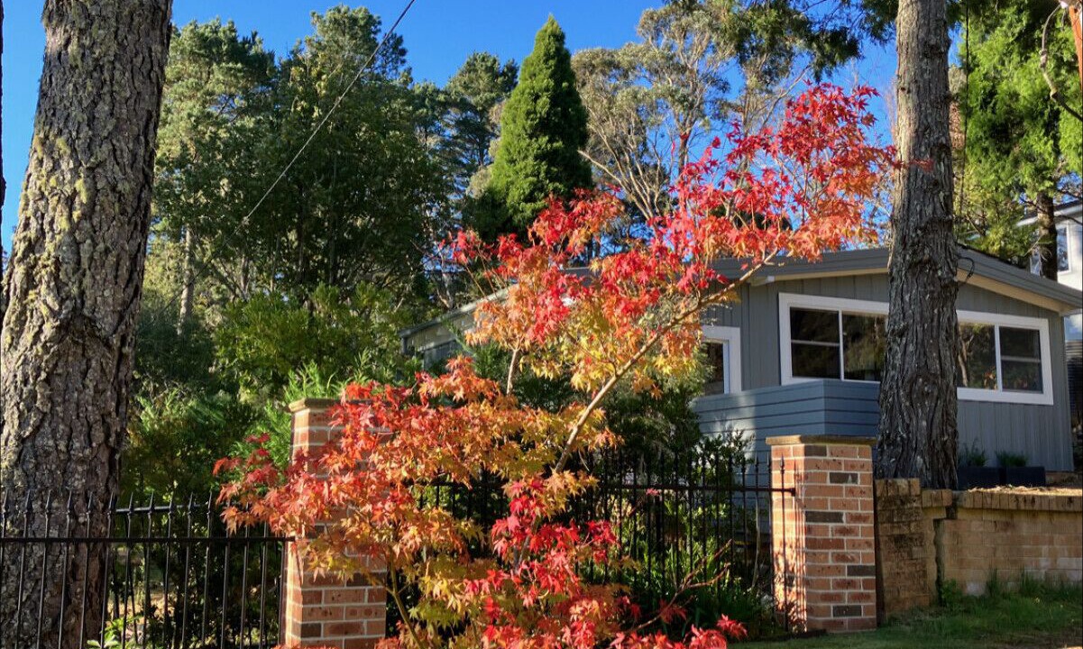 Photo of Others in Wentworth Falls