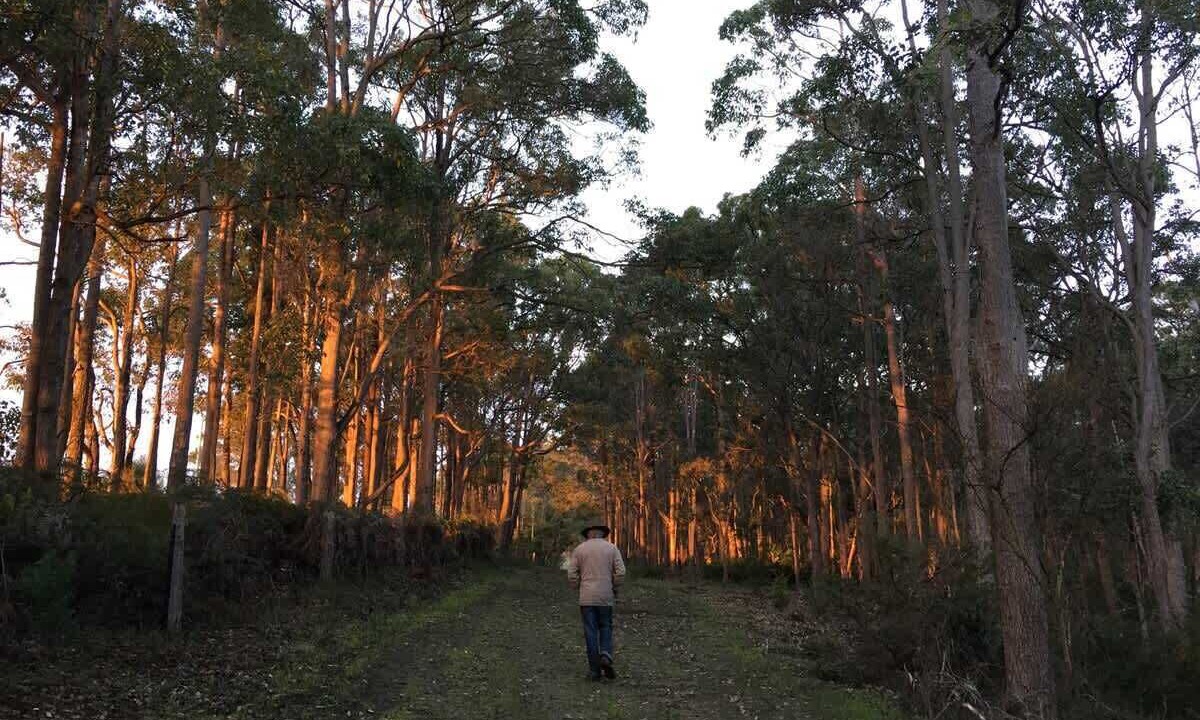 Photo of Others in Rosa Glen