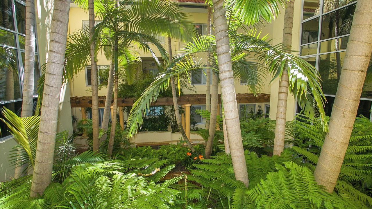 Photo of Outdoor in East Perth