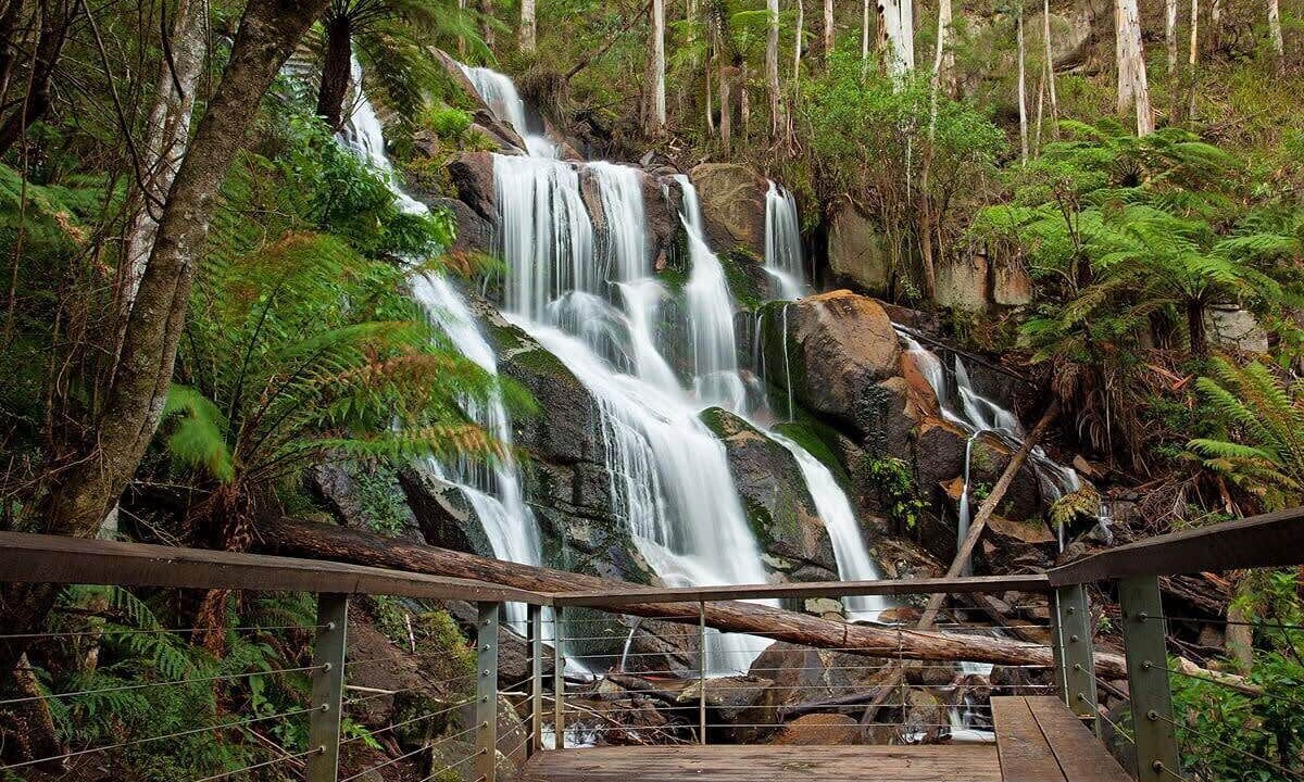 Photo of Outdoor in Neerim South