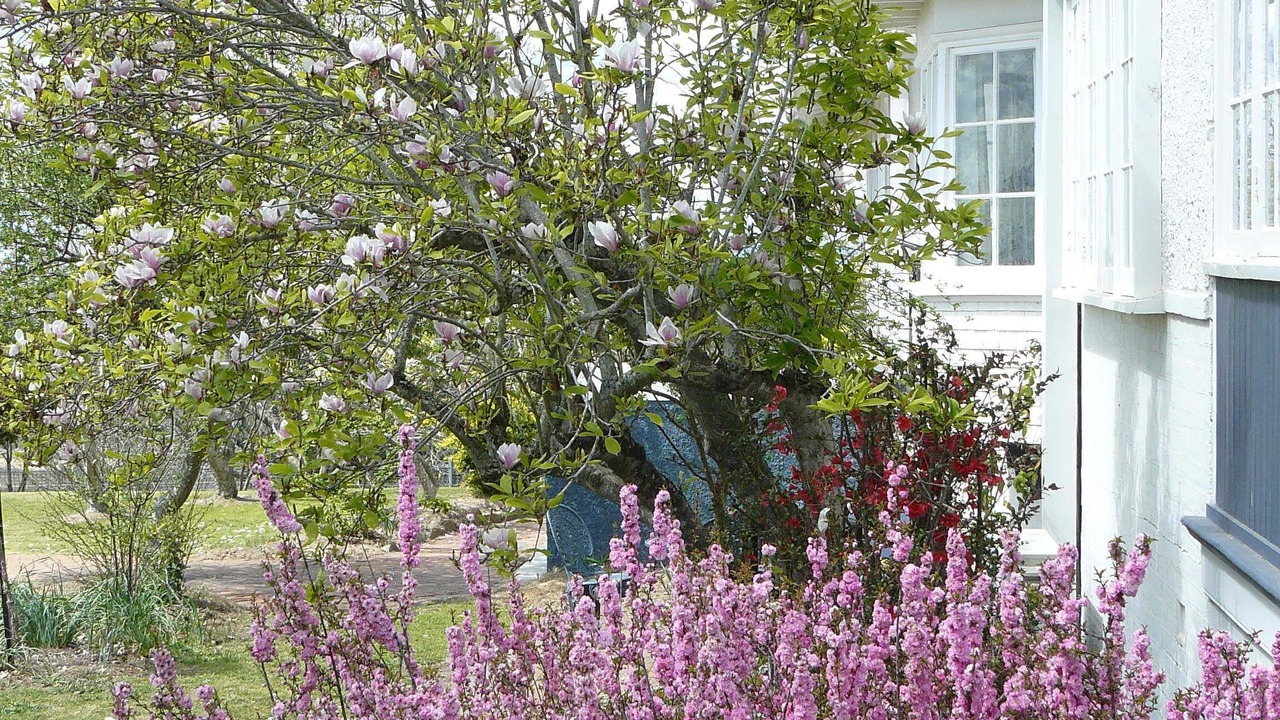 Photo of Outdoor in Tenterfield