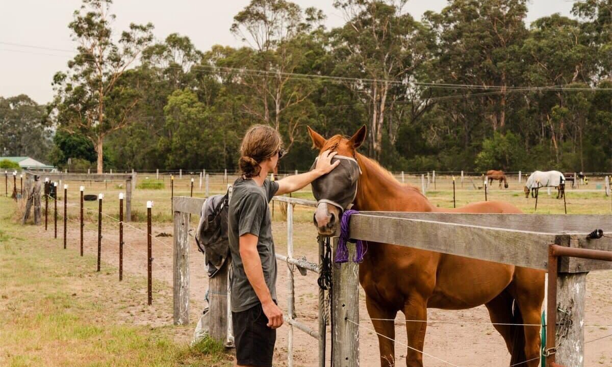 Photo of Others in Cessnock