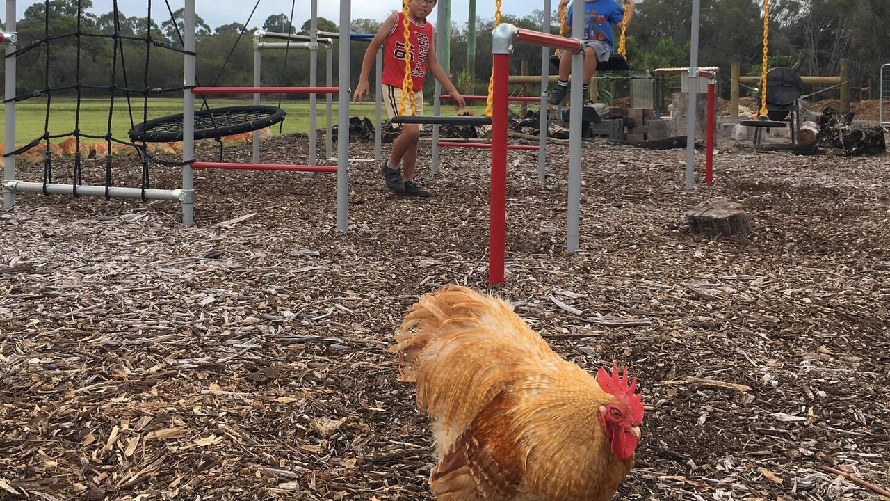 Photo of Others in Oakford