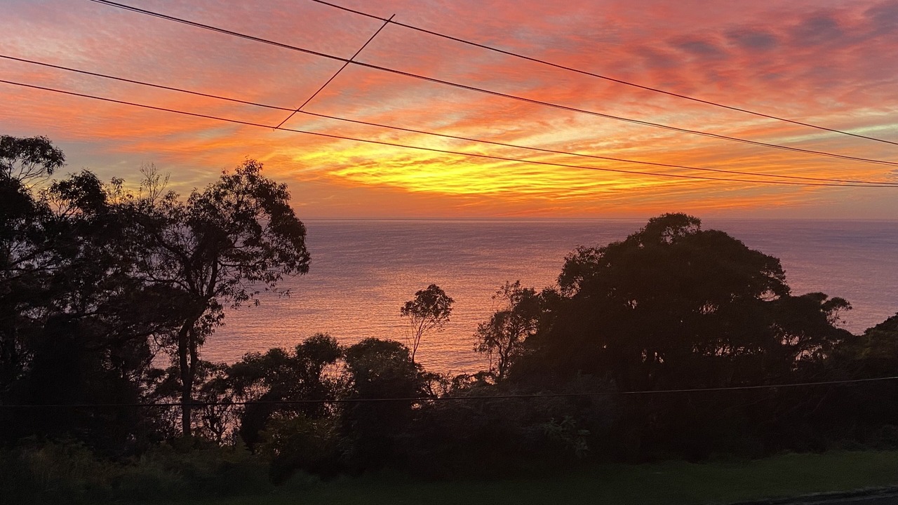 Photo of Others in Avoca Beach