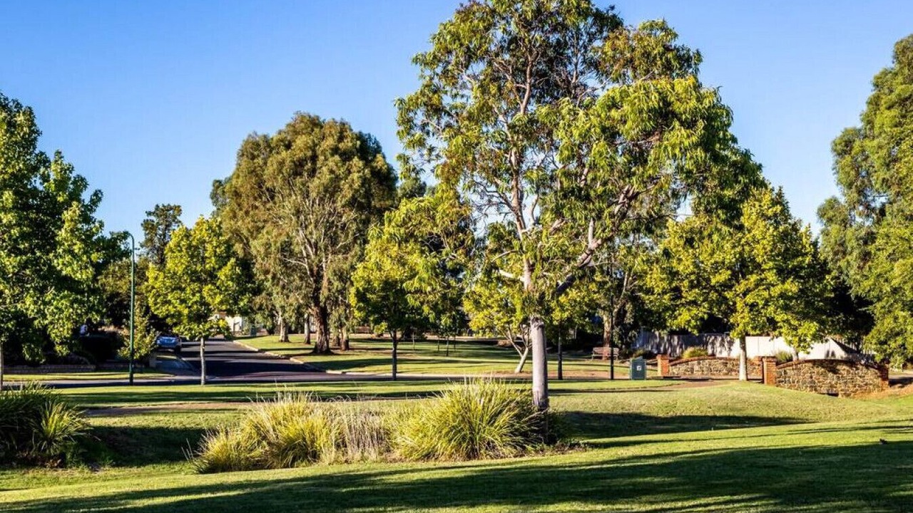 Photo of Others in Tanunda