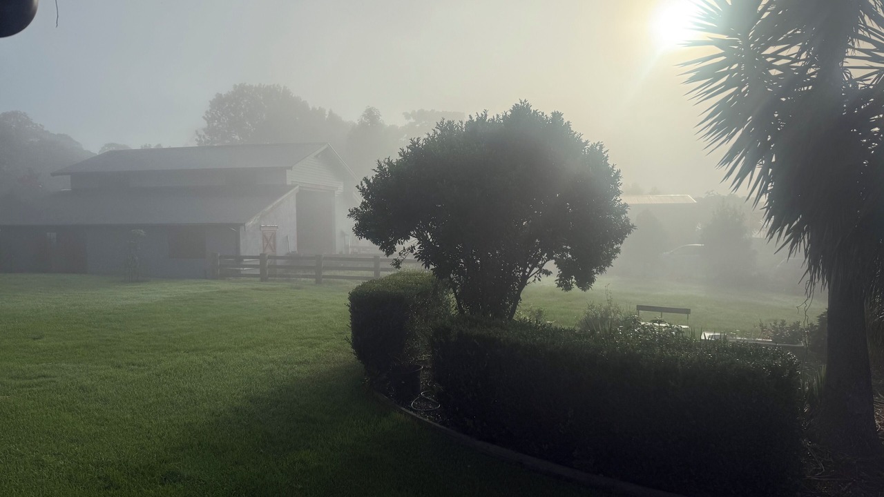 Photo of Outdoor in Berry