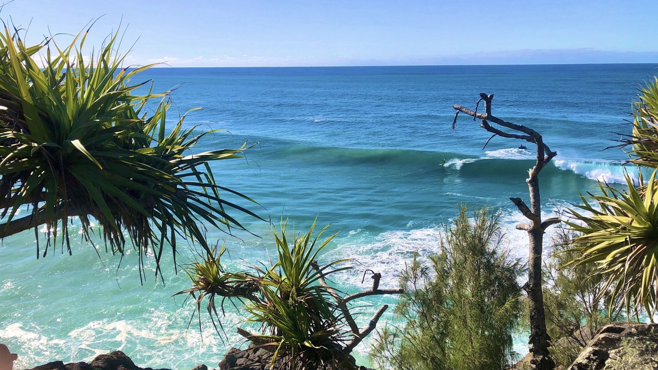 Photo of Others in Cabarita Beach