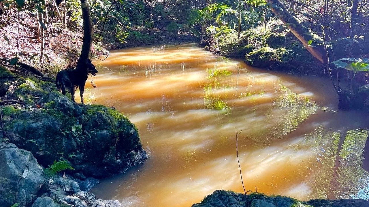 Photo of Others in Smiths Creek