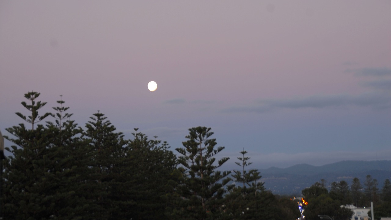 Photo of Others in Glenelg