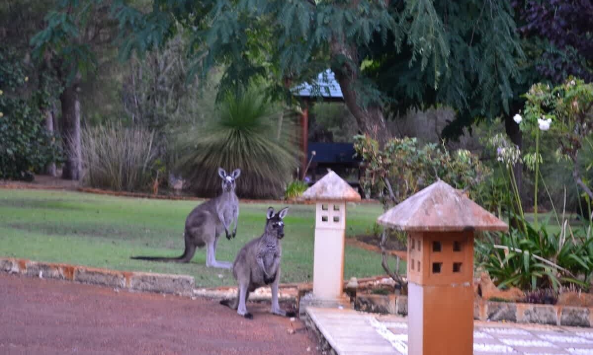 Photo of Outdoor in Yallingup