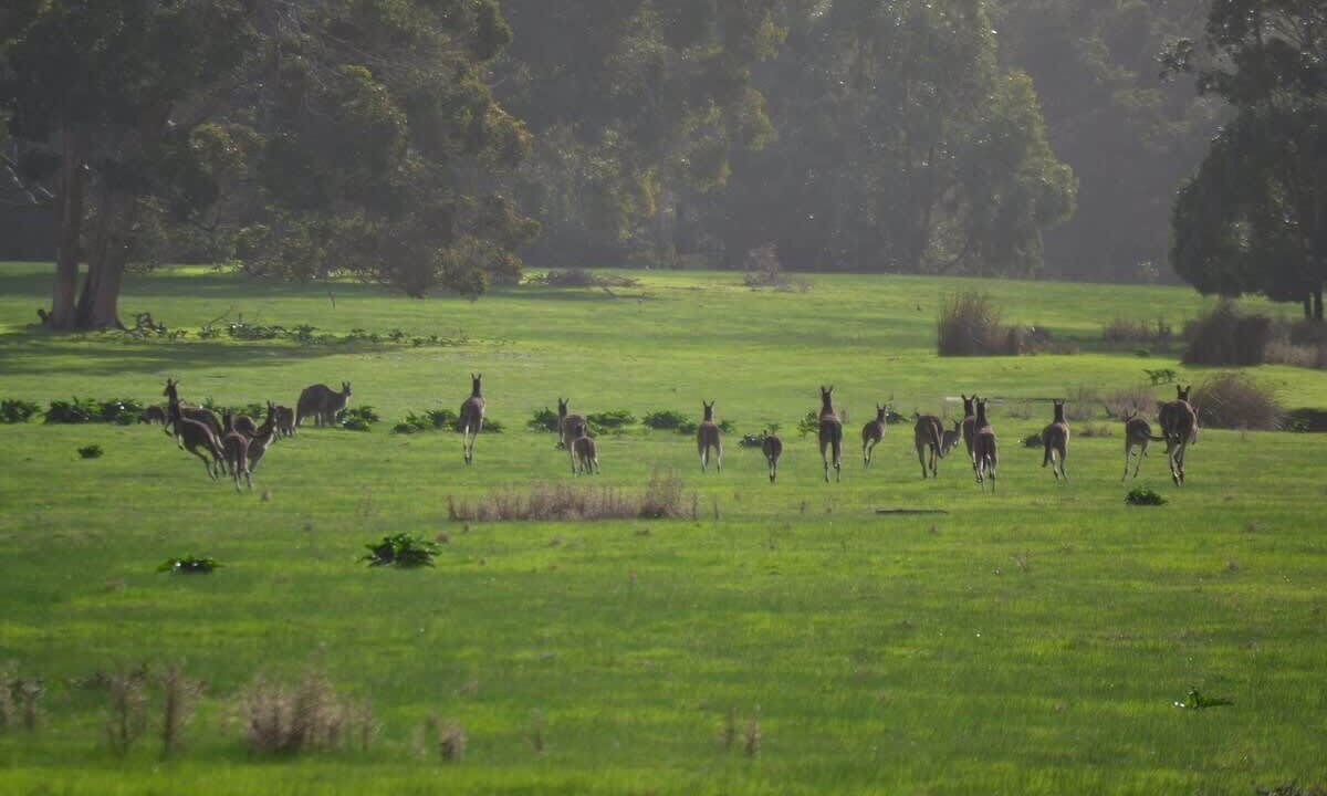 Photo of Others in Yallingup