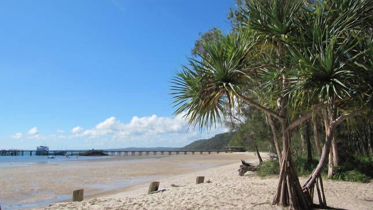 Photo of Others in Fraser Island
