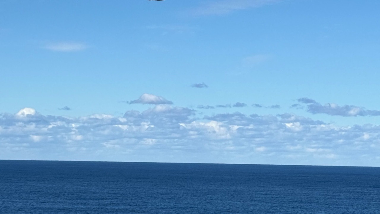 Photo of Others in Kiama Heights