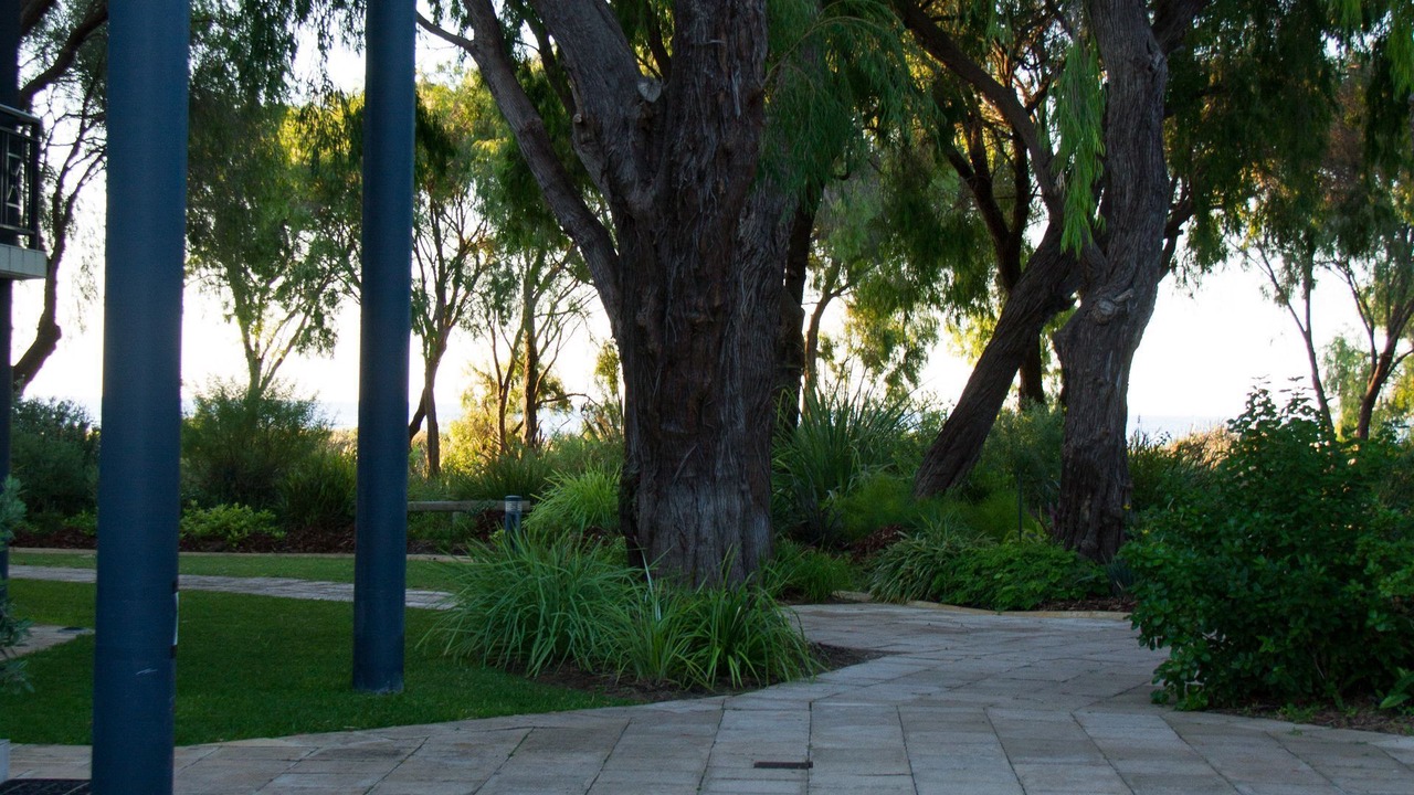 Photo of Outdoor in Broadwater