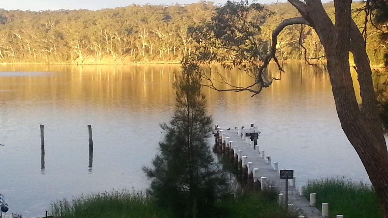 Photo of Others in Kings Point