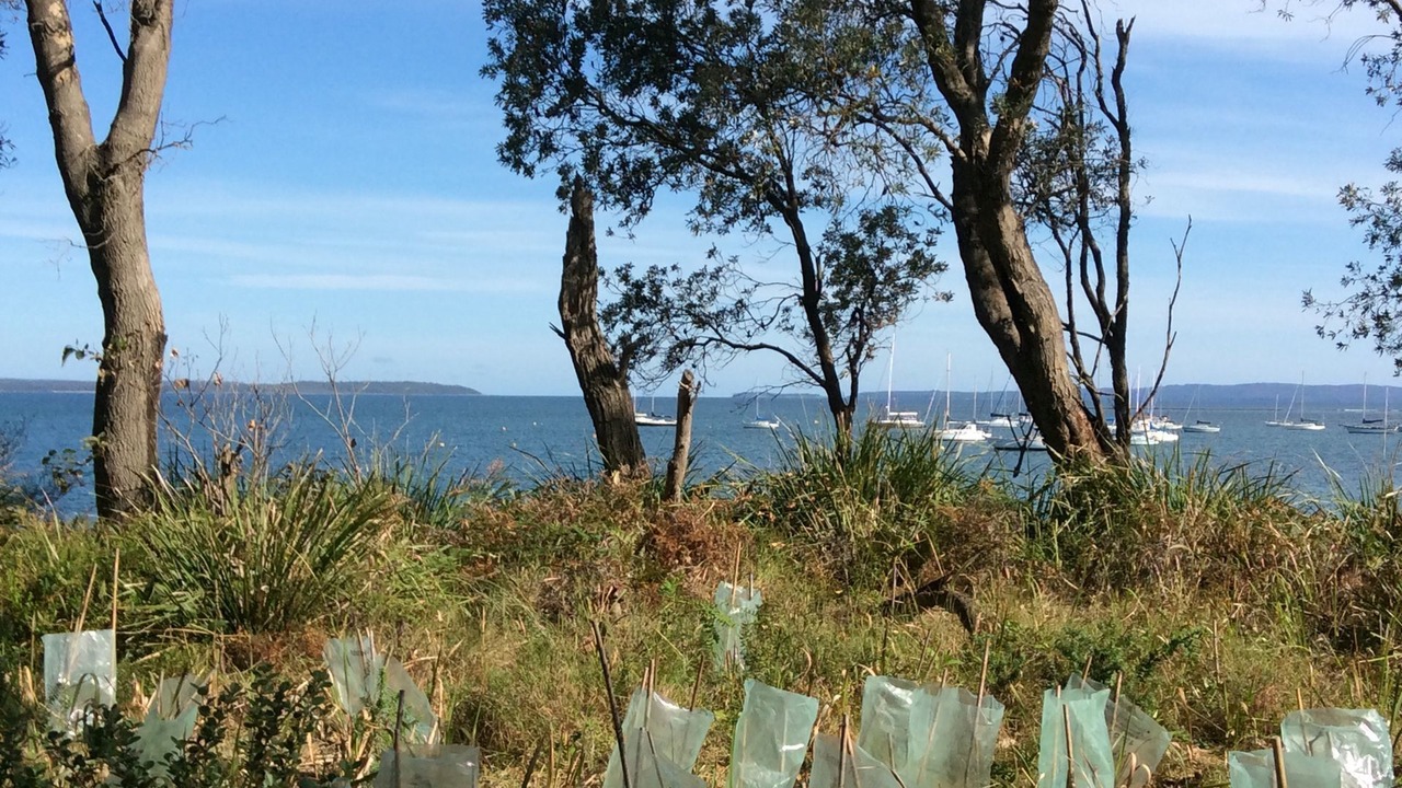 Photo of Outdoor in Callala Bay