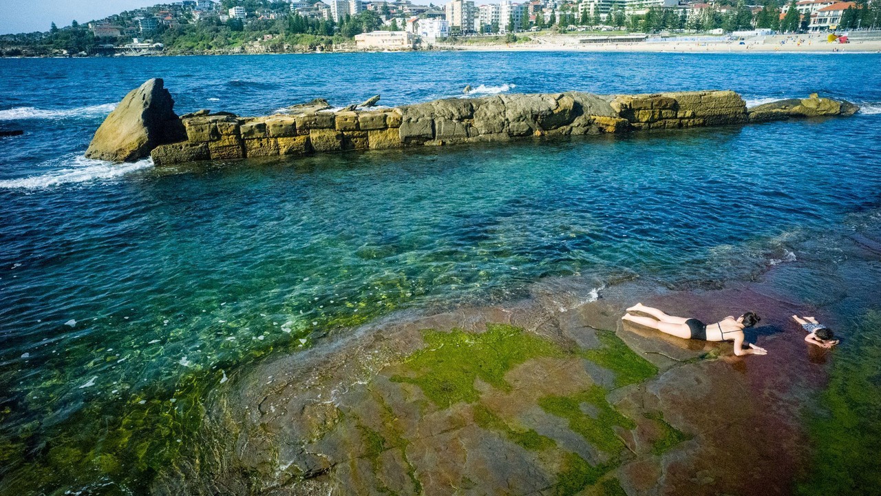 Photo of Others in Coogee