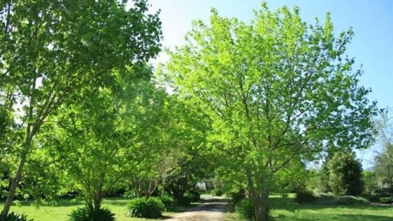 Photo of Outdoor in Barrengarry