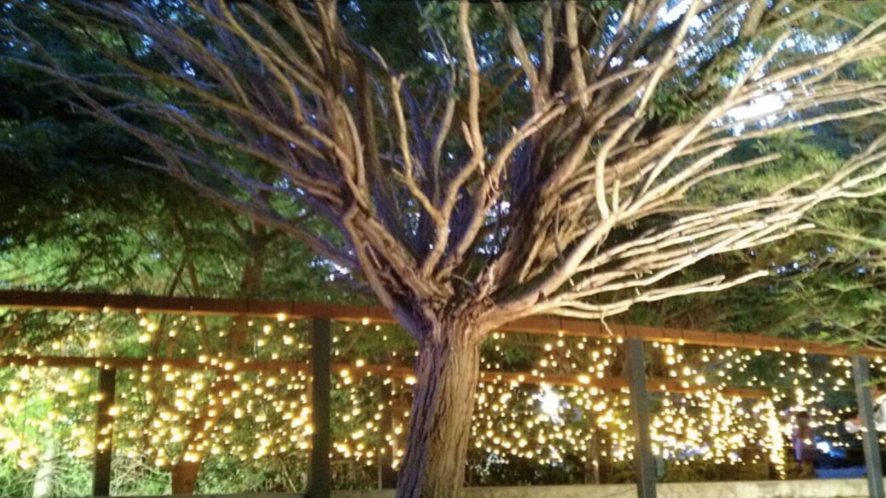 Photo of Outdoor in Hahndorf