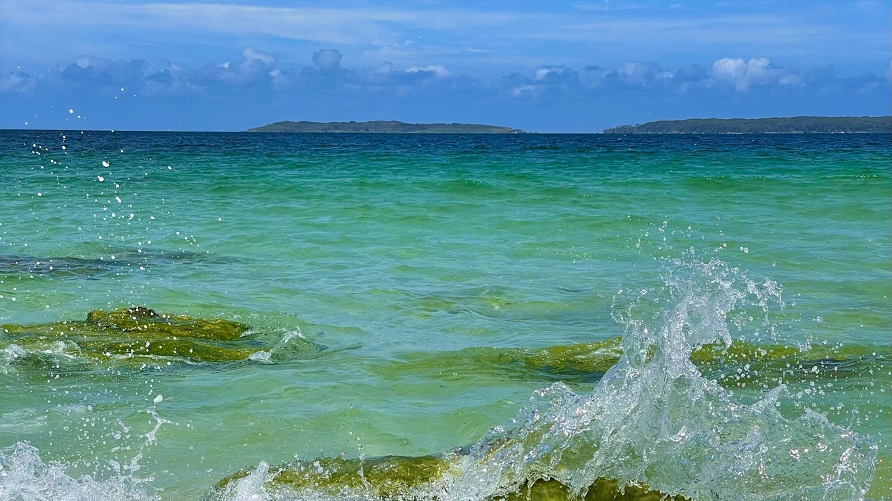 Photo of Others in Hyams Beach