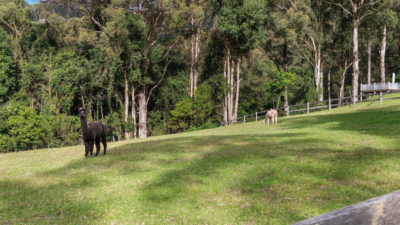 Photo of Outdoor in Shoalhaven City Council