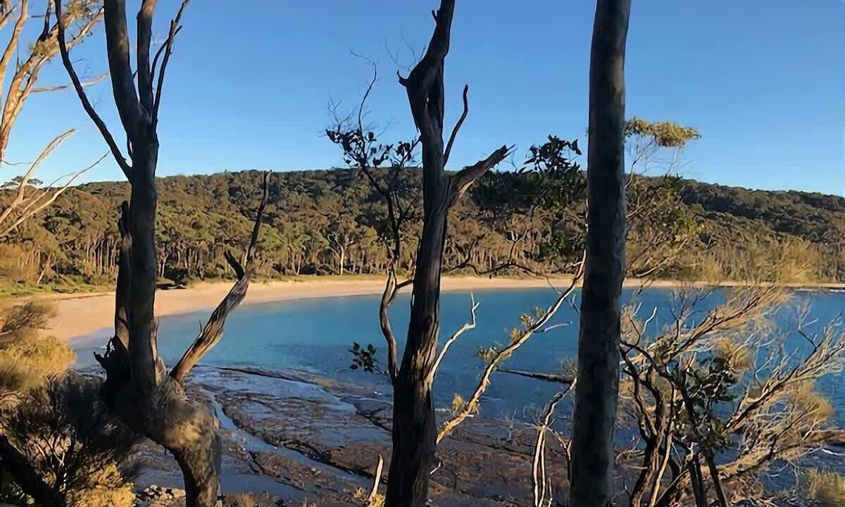 Photo of Others in Depot Beach