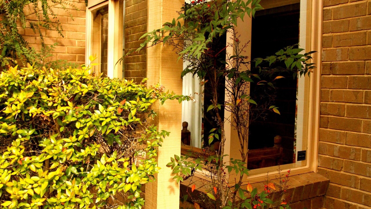 Photo of Outdoor in North Adelaide