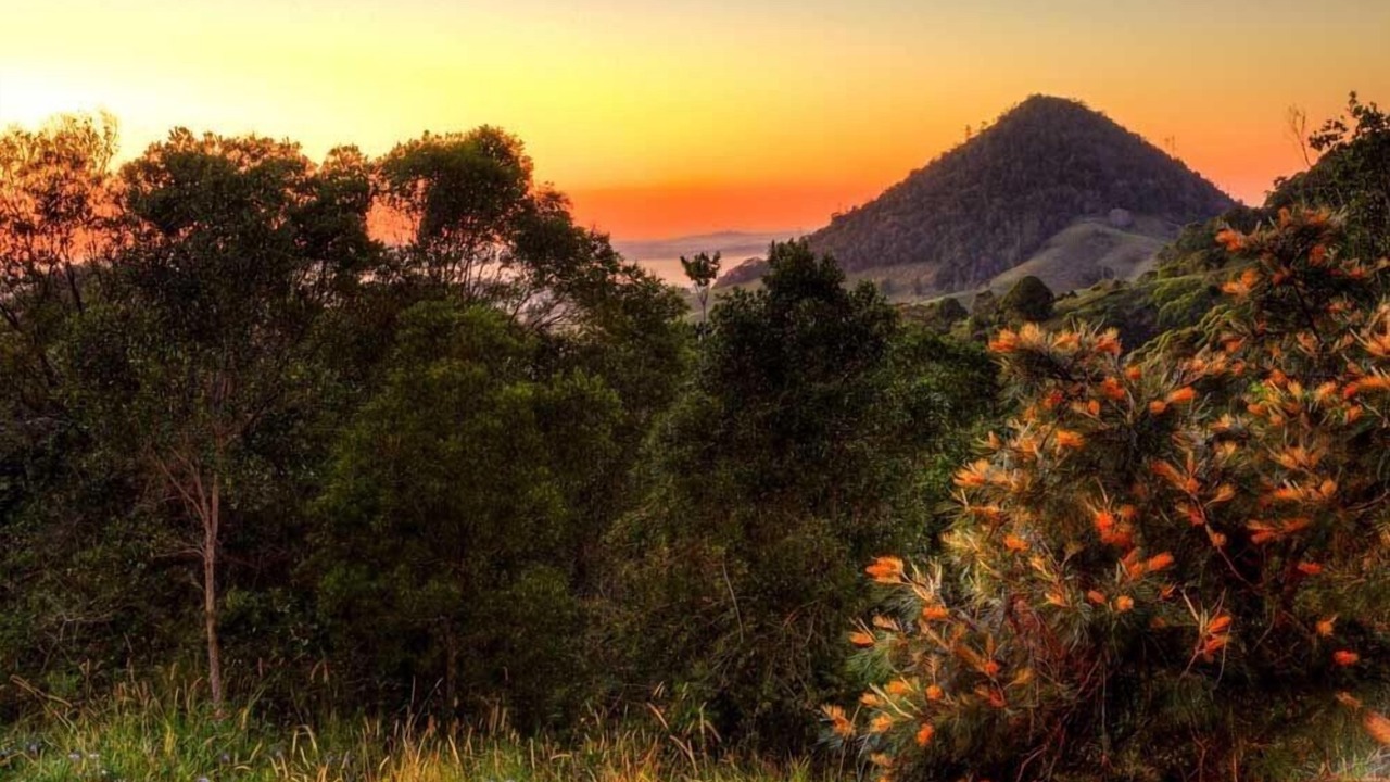 Photo of Outdoor in Cooran
