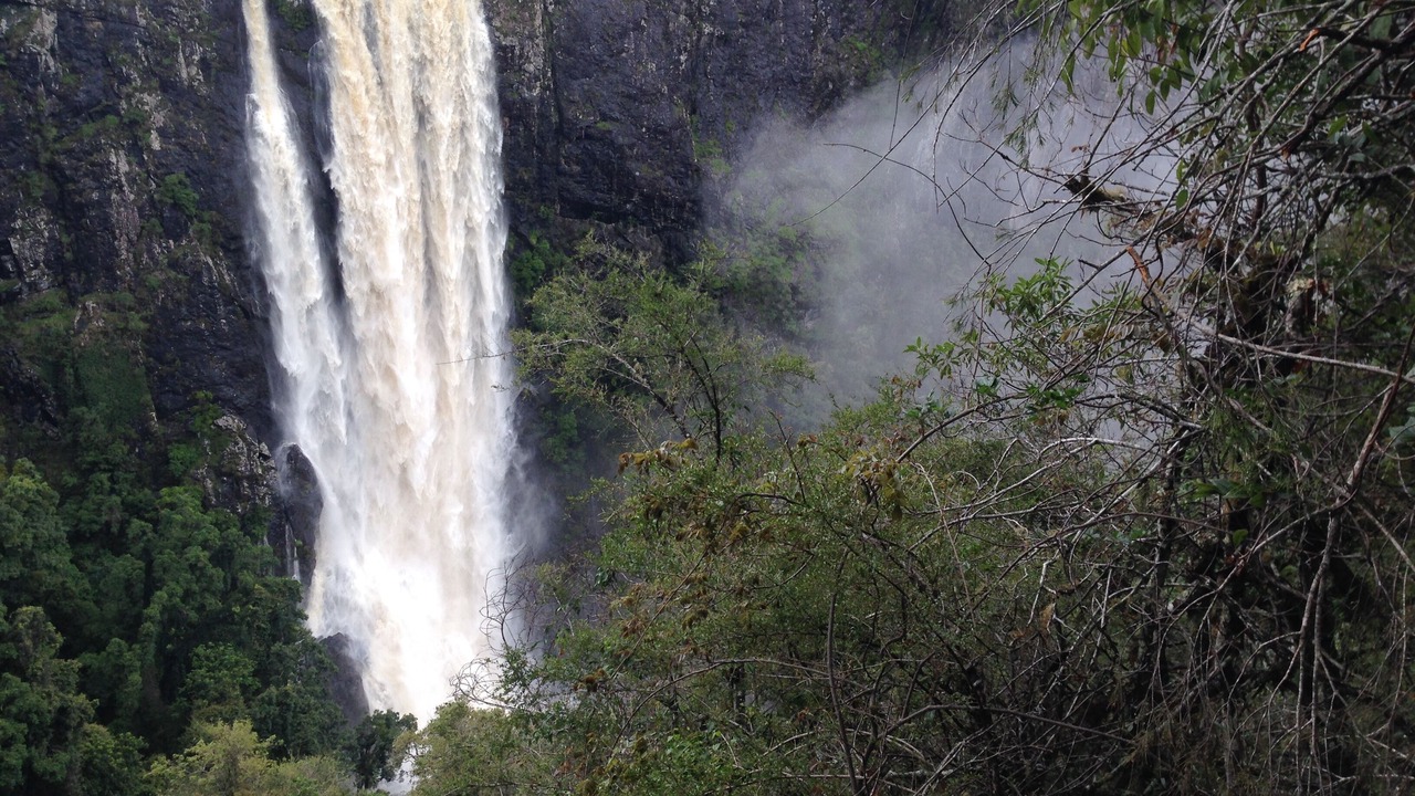 Photo of Others in Elands
