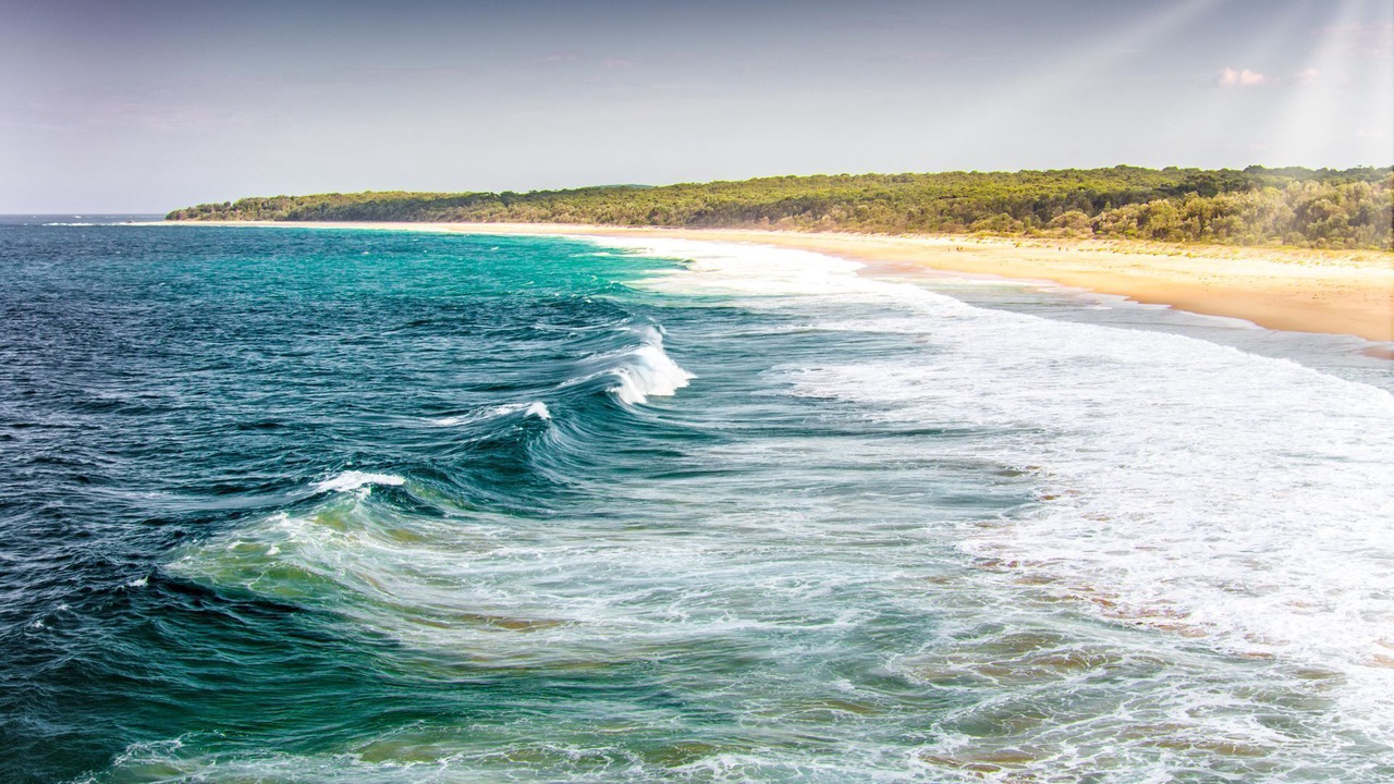 Photo of Others in Moruya Heads
