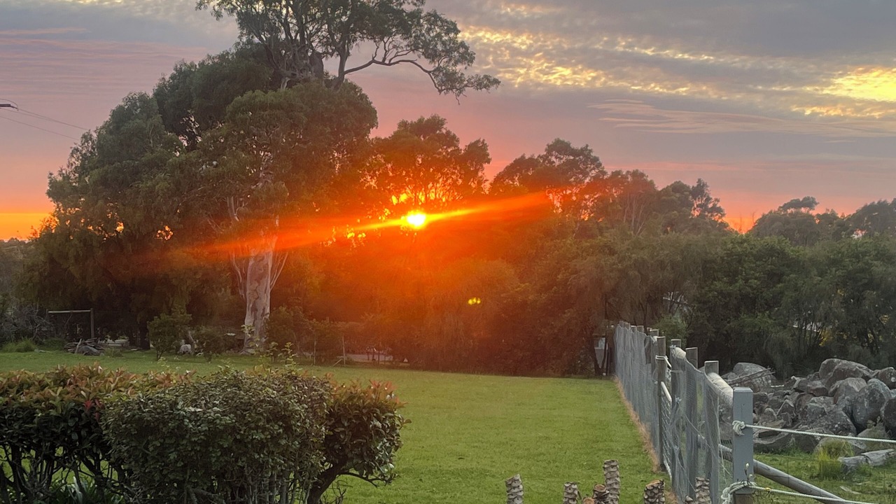 Photo of Outdoor in Bingie